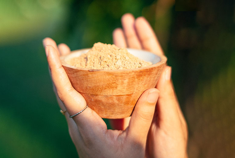 post-1-1 Hands holding a bowl of light brown ayurvedic natural powder image on padma blog details page
